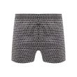 Боксеры Ermenegildo Zegna серо-зеленые
