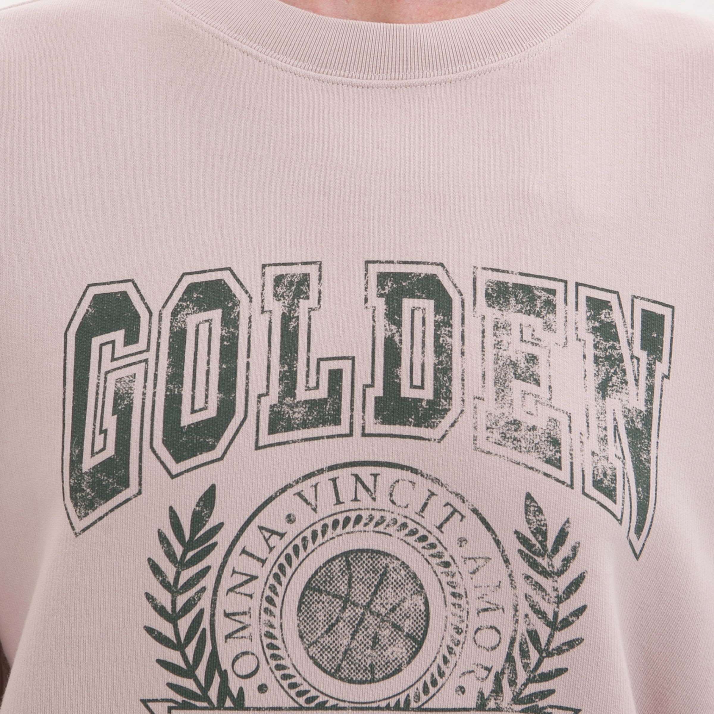 Толстовка Golden Goose розовая